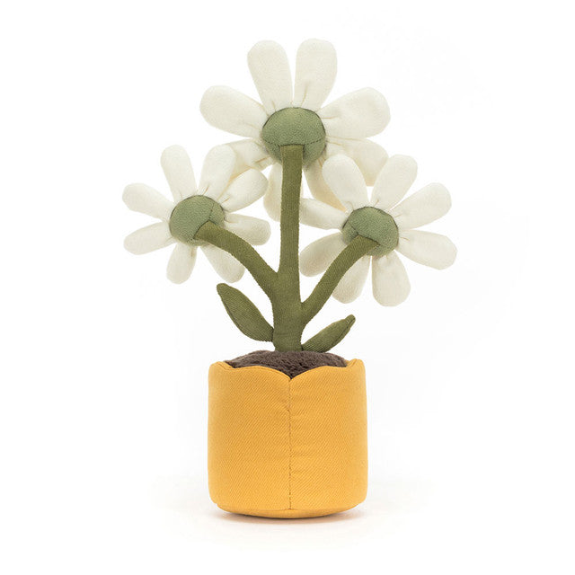 Amuseables Daisy - Eden Lifestyle