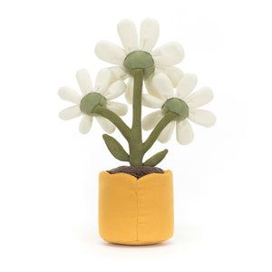 Amuseables Daisy - Eden Lifestyle