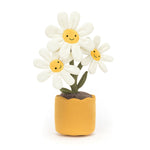 Amuseables Daisy - Eden Lifestyle