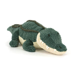 Allexi Alligator - Eden Lifestyle
