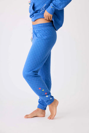 Electric Vibes Quarter Zip Sweatshirt and Banded Pant Set - Eden Lifestyle