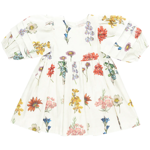 Girls Brooke Dress - Notebook Botanical - Eden Lifestyle