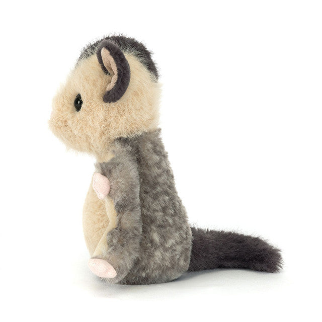 Lolly Sugar Glider - Eden Lifestyle