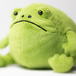 Ricky Rain Frog - Eden Lifestyle