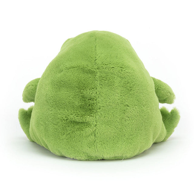 Ricky Rain Frog - Eden Lifestyle