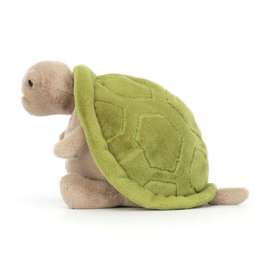 Timmy Turtle - Eden Lifestyle