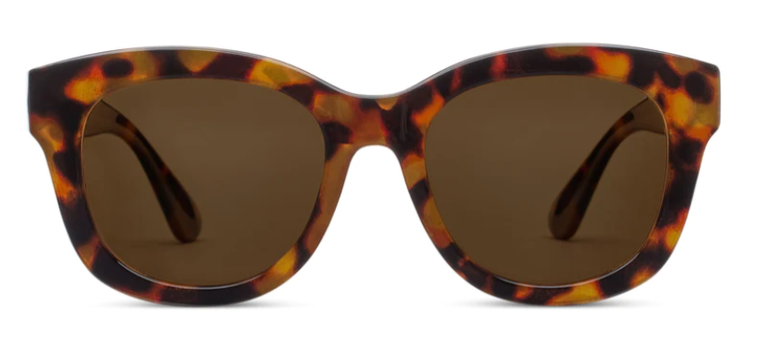 Center Stage Tortoise - Eden Lifestyle