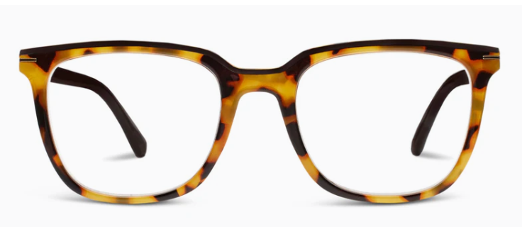 Dante (Blue Light) Glasses - Eden Lifestyle