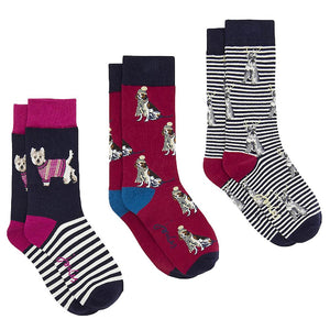 Joules, Accessories - Socks,  Joules Cracker Box Socks