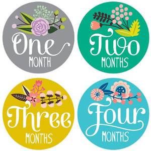 Lucy Darling, Baby - Nursery Organization,  Little Artist Monthly Stickers