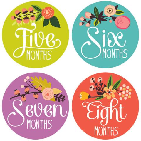 Lucy Darling, Baby - Nursery Organization,  Little Artist Monthly Stickers