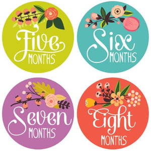 Lucy Darling, Baby - Nursery Organization,  Little Artist Monthly Stickers