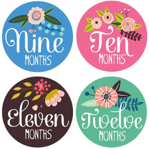Lucy Darling, Baby - Nursery Organization,  Little Artist Monthly Stickers
