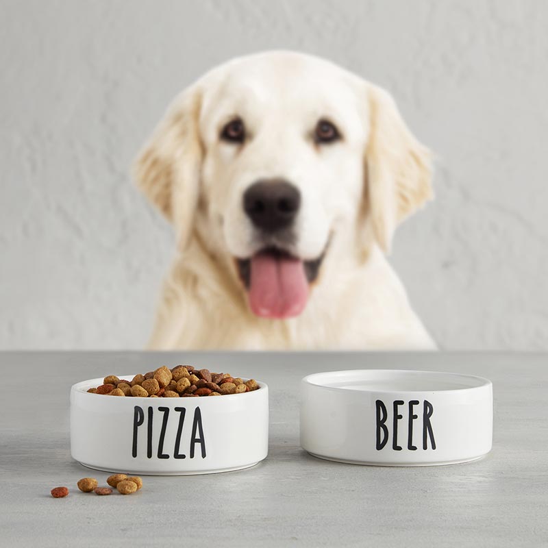 Eden Lifestyle, ,  Beer Ceramic Pet Dish