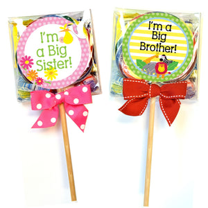 Big Brother Sister Mix Up Pops - Eden Lifestyle