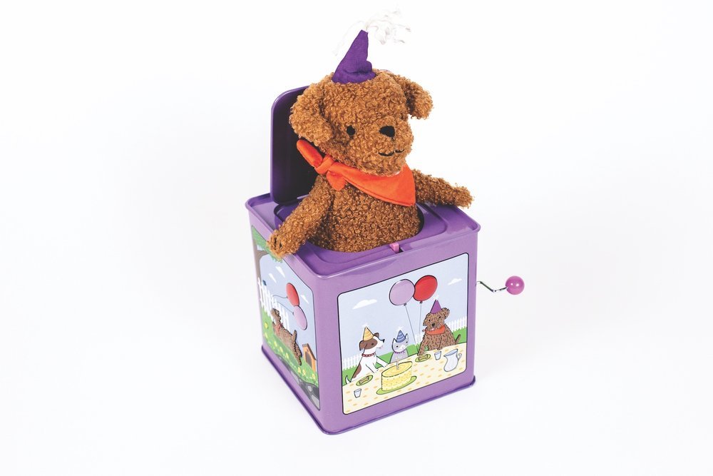Birthday Puppy Jack-in-the-Box - Eden Lifestyle
