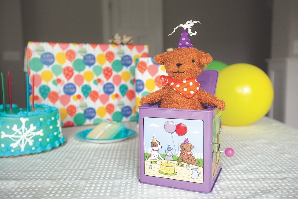 Birthday Puppy Jack-in-the-Box - Eden Lifestyle