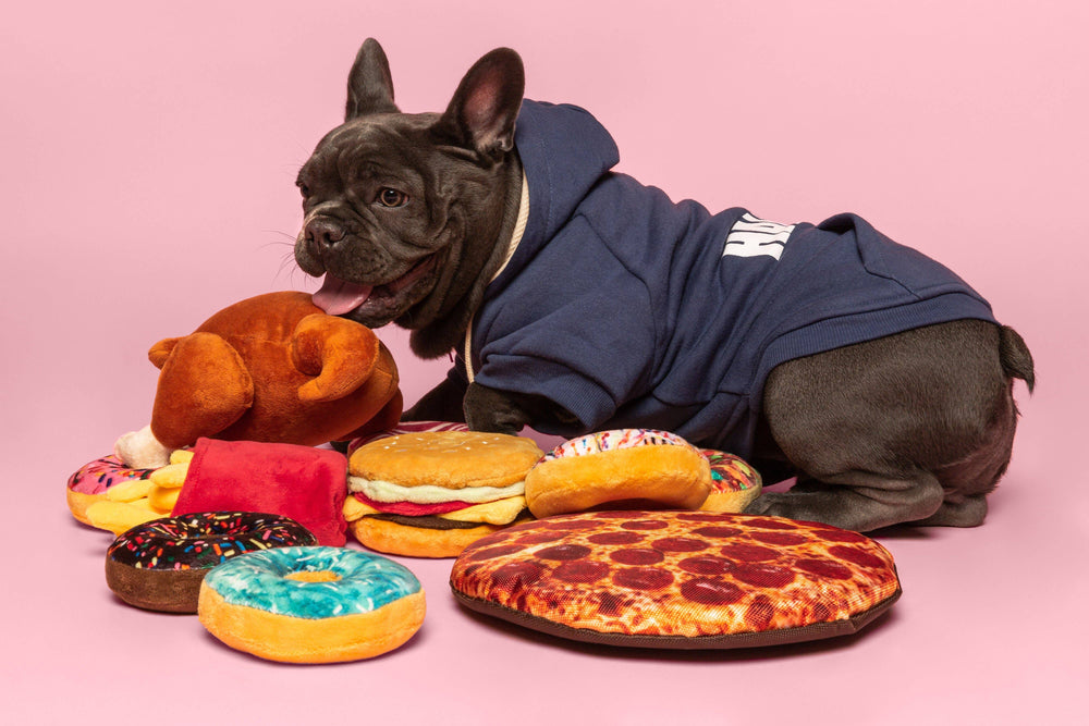 Box of Doughnuts Squeaky Dog Toy - Eden Lifestyle