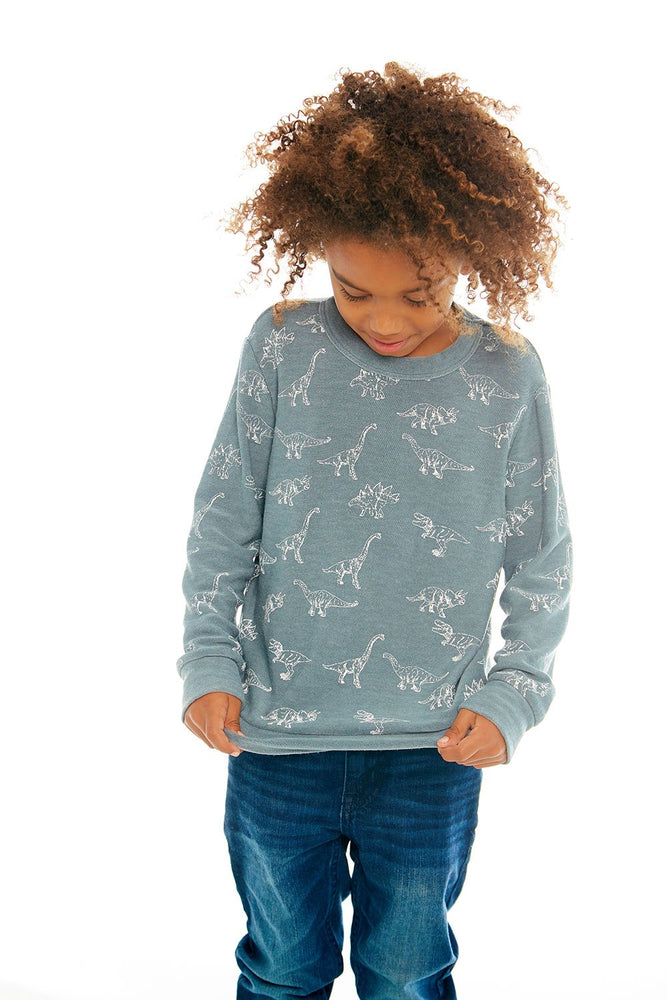 Chaser, Boy - Shirts,  Chaser - Dino Dance Long Sleeve Knit