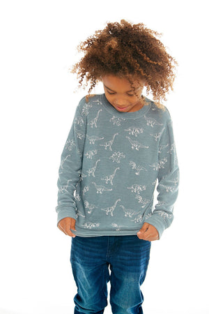 Chaser, Boy - Shirts,  Chaser - Dino Dance Long Sleeve Knit