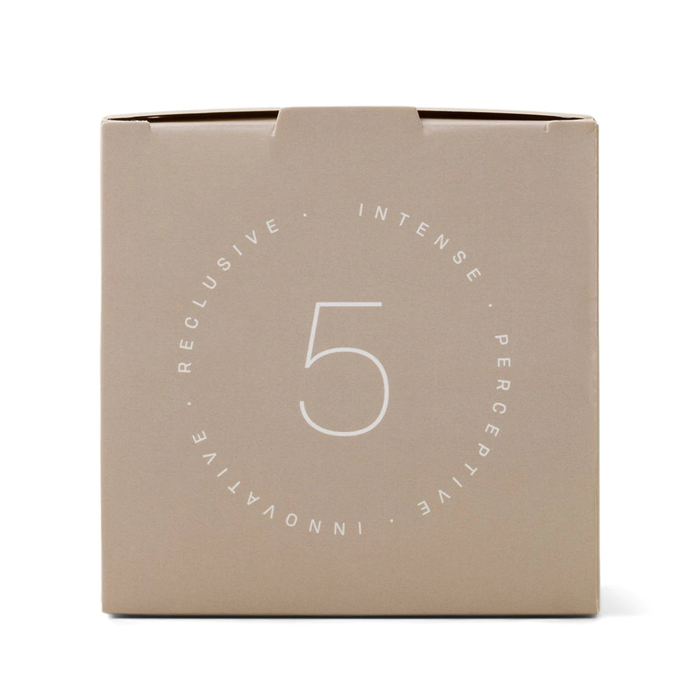 Paddywax Enneagram #5 Investigator 6 oz Candle - Eucalyptus Santal - Eden Lifestyle