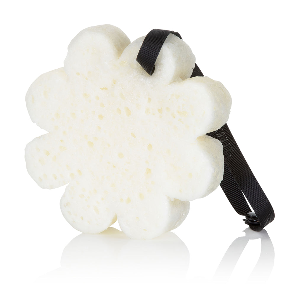 Spongelle Eucalyptus Rain - Boxed Flower - Eden Lifestyle