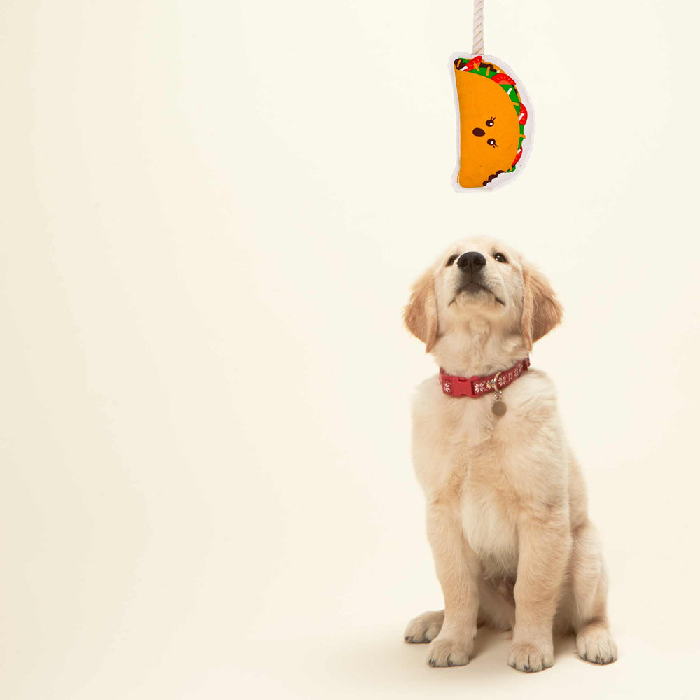Taco Rope Dog Toy - Eden Lifestyle