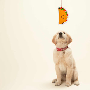 Taco Rope Dog Toy - Eden Lifestyle