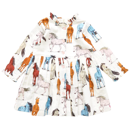 Girls Autumn Dress - Multi Horses - Eden Lifestyle