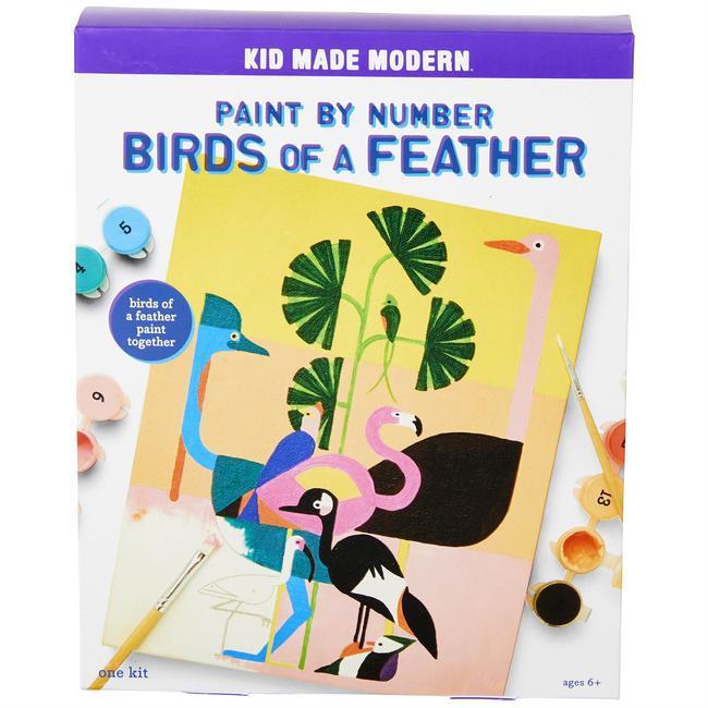 Eden Lifestyle, Gifts - Kids Misc,  Paint By Number Kit: Birds of a Feather