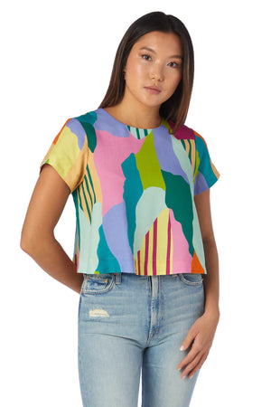 Katie Crop Top in Color Fields - Eden Lifestyle