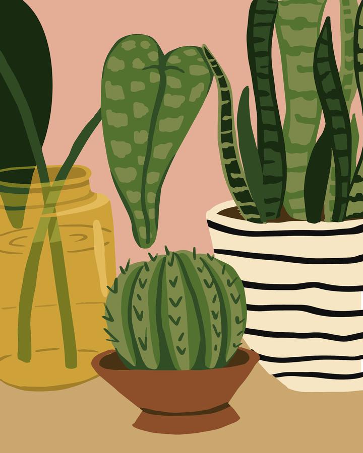 Pink Picasso Kits - Sensitive Succulents – The Good Life Boutique