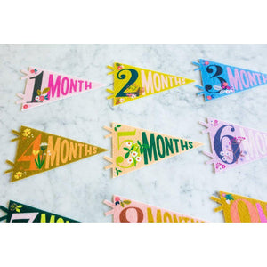 Lucy Darling, Gifts - Kids Misc,  Little Artist Milestone Pennants