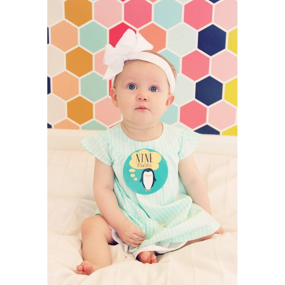 Lucy Darling, Baby - Nursery Organization,  Little Animal Lover Monthly Stickers