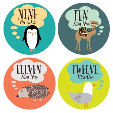 Lucy Darling, Baby - Nursery Organization,  Little Animal Lover Monthly Stickers