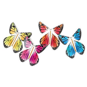 Magic Flying Rainbow Butterfly - Eden Lifestyle