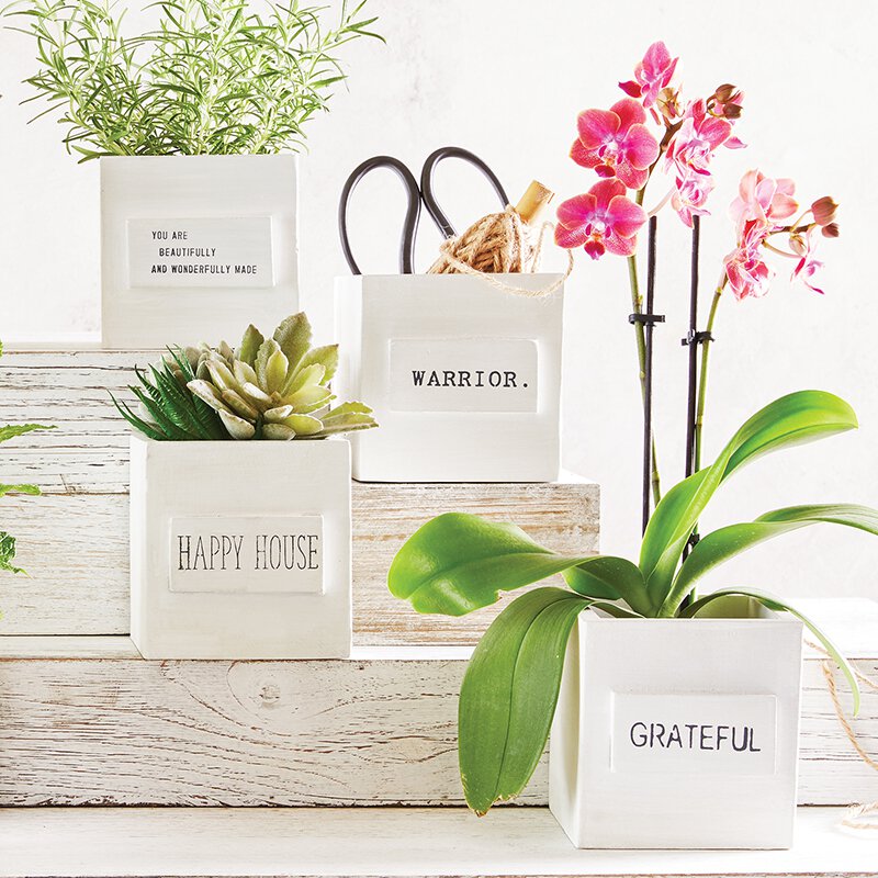 Eden Lifestyle, Home - Decorations,  Nest Box - Happy House