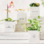 Eden Lifestyle, Home - Decorations,  Nest Box - Enjoy the Gift