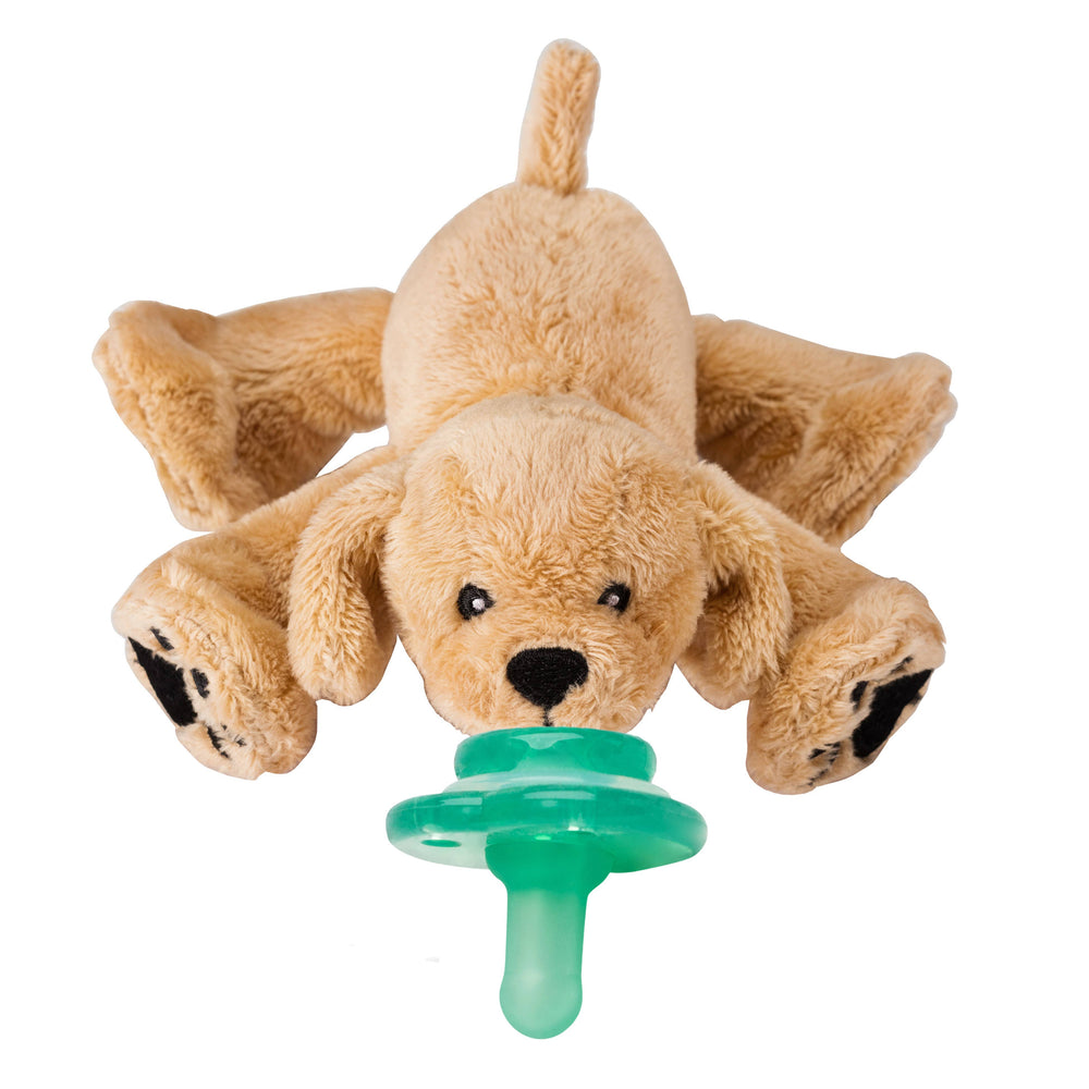 Paci-Plushies Buddies - Rufus Retriever - Eden Lifestyle