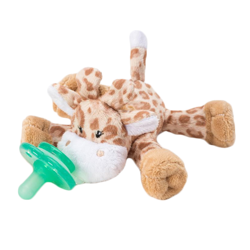 Paci-Plushies Buddies – Georgie Giraffe - Eden Lifestyle