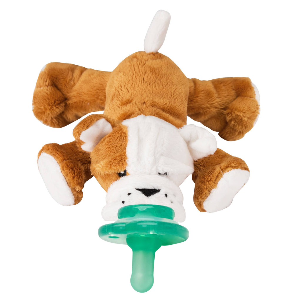 Paci-Plushies Shakies – Barkley Bull Dog - Eden Lifestyle
