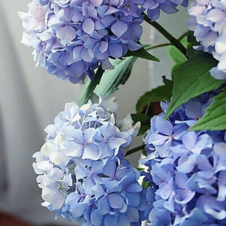 Paint by Numbers Kits - Happily Hydrangea - Eden Lifestyle