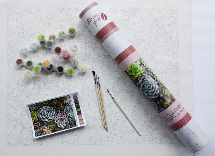 Paint by Numbers Kits - Sensitive Succulents - Eden Lifestyle