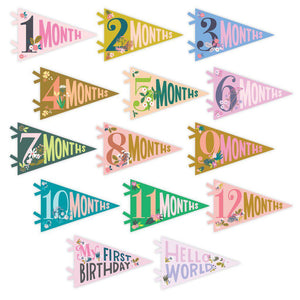 Lucy Darling, Gifts - Kids Misc,  Little Artist Milestone Pennants