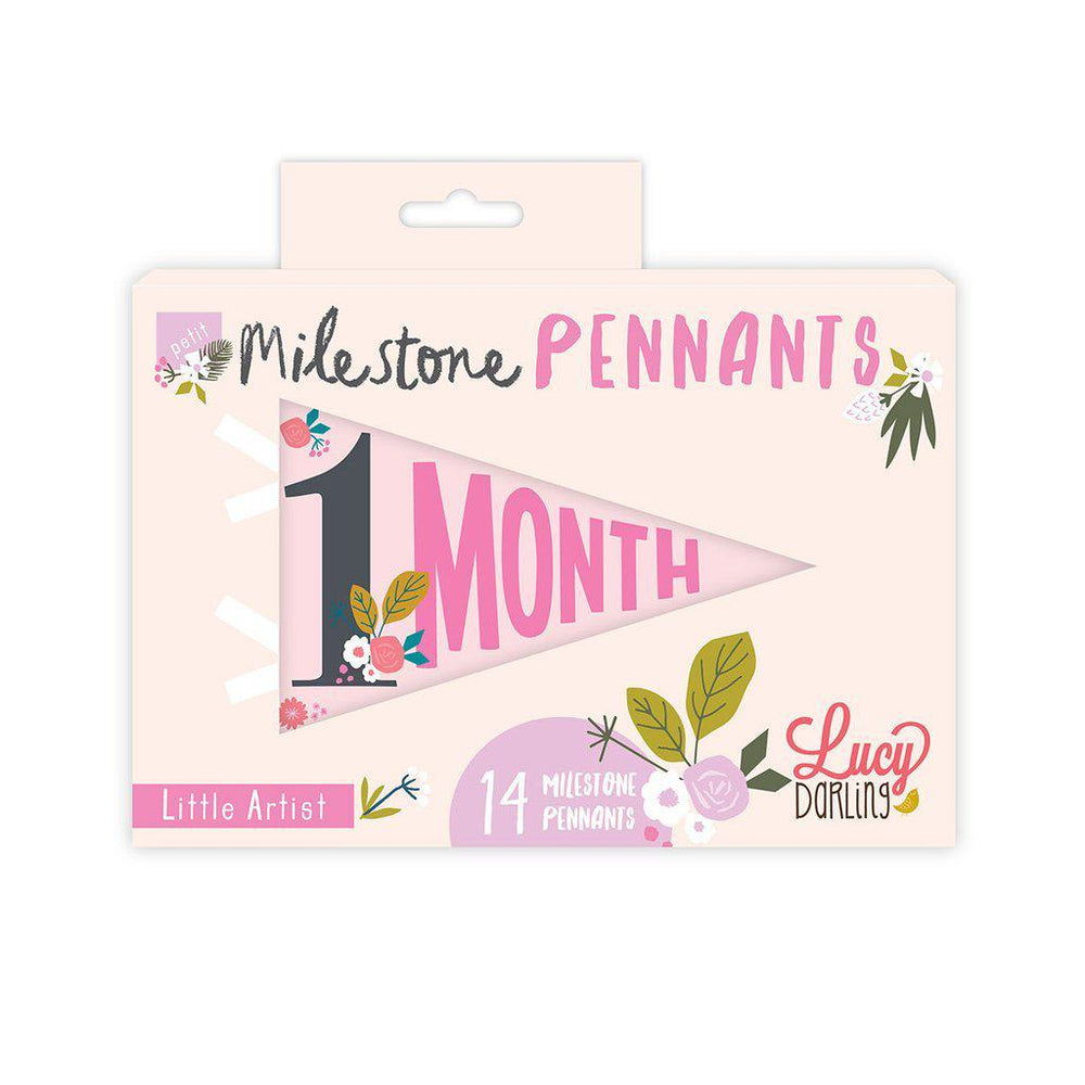 Lucy Darling, Gifts - Kids Misc,  Little Artist Milestone Pennants