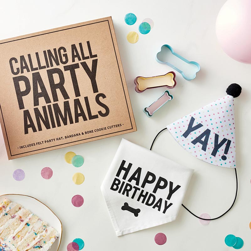 Pet Birthday Book Box - Eden Lifestyle