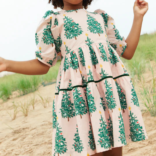Pink Chicken Maribelle Dress