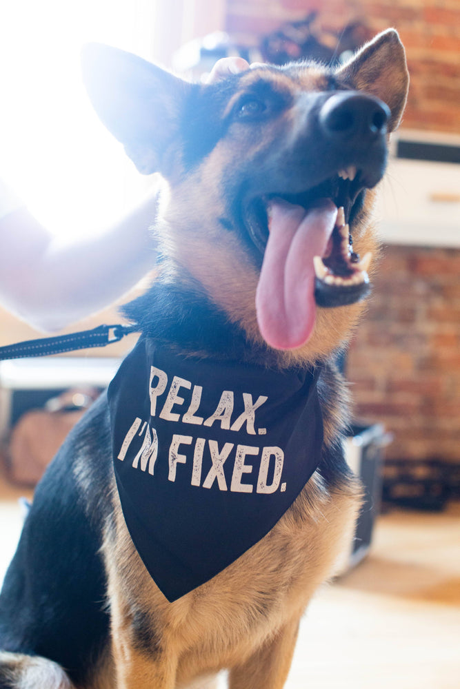 Eden Lifestyle, Gifts - Other,  "Relax I'm Fixed" Bandana/Collar