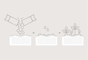 Modern Sprout, Gifts - Other,  Seed Popper - Cocktail