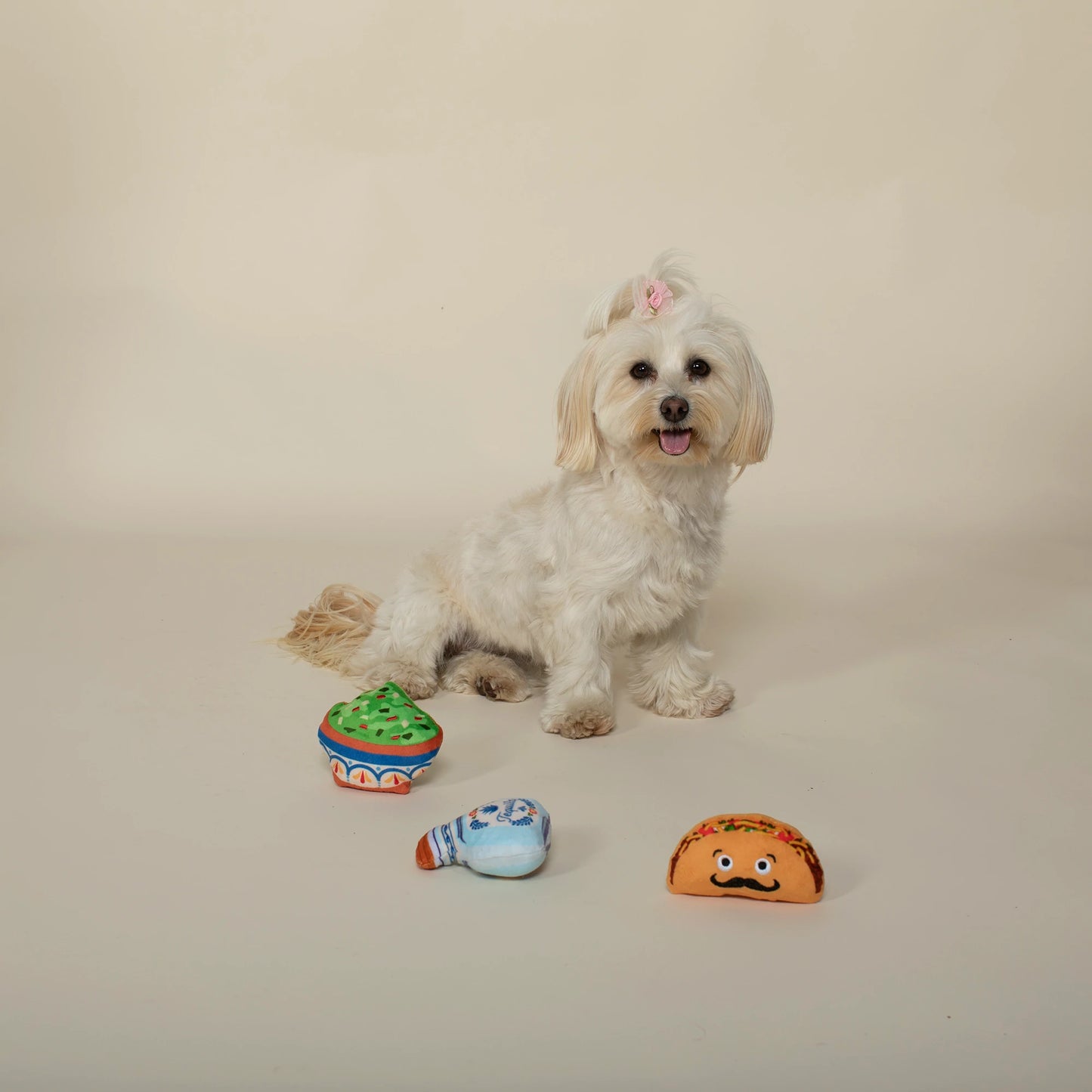 Taco Tuesday Mini Dog Toys - Eden Lifestyle